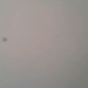 Meet your Posher, Samira